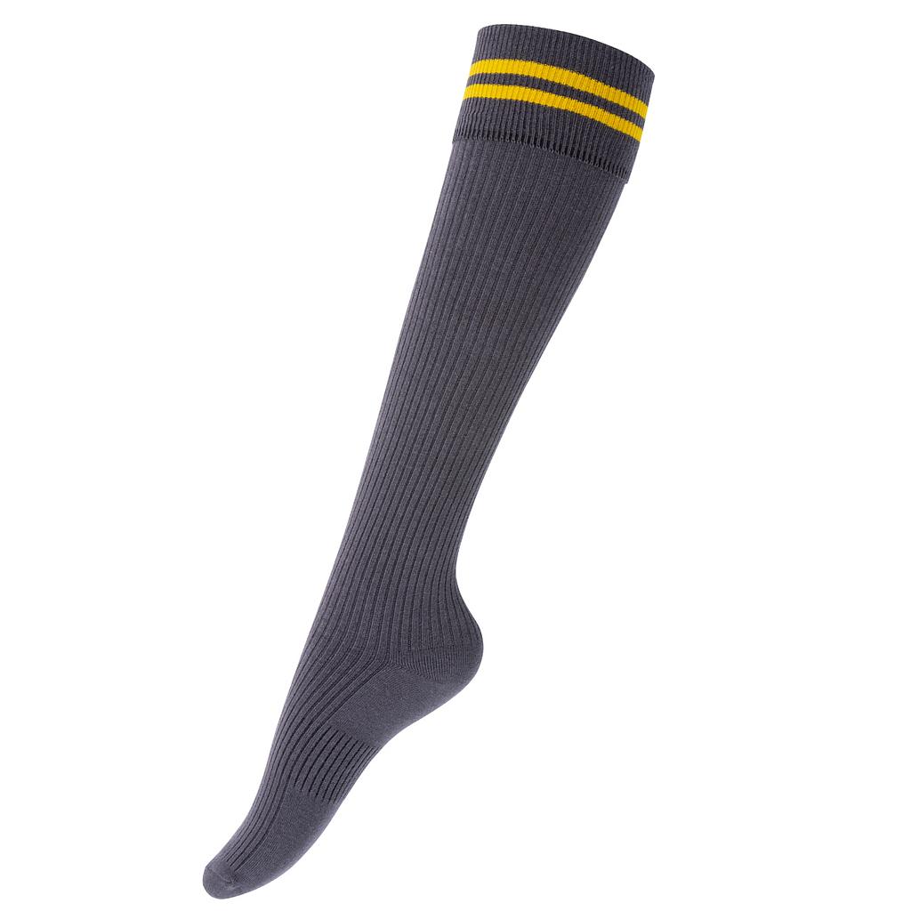 PPS Boys Knee Sock K-6