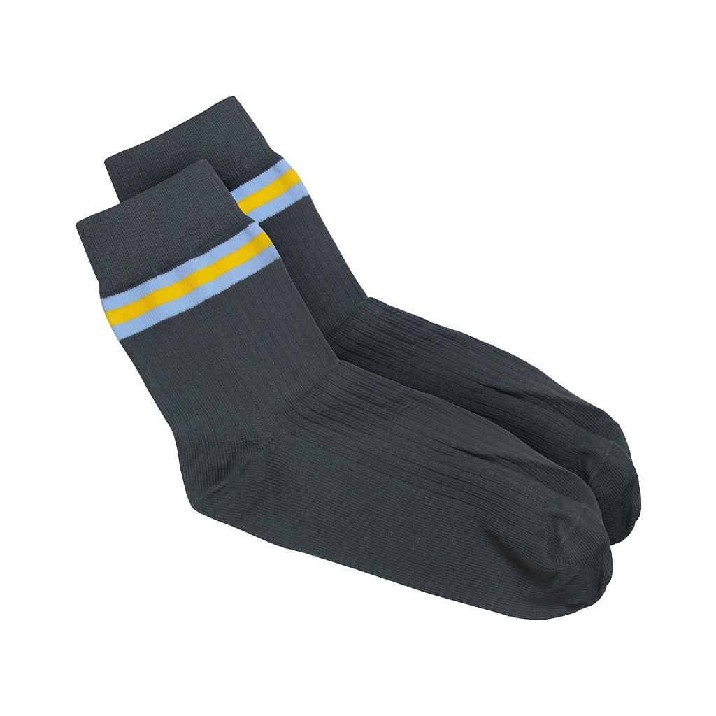 SAC Sock Boys 1pk K-12 (D)