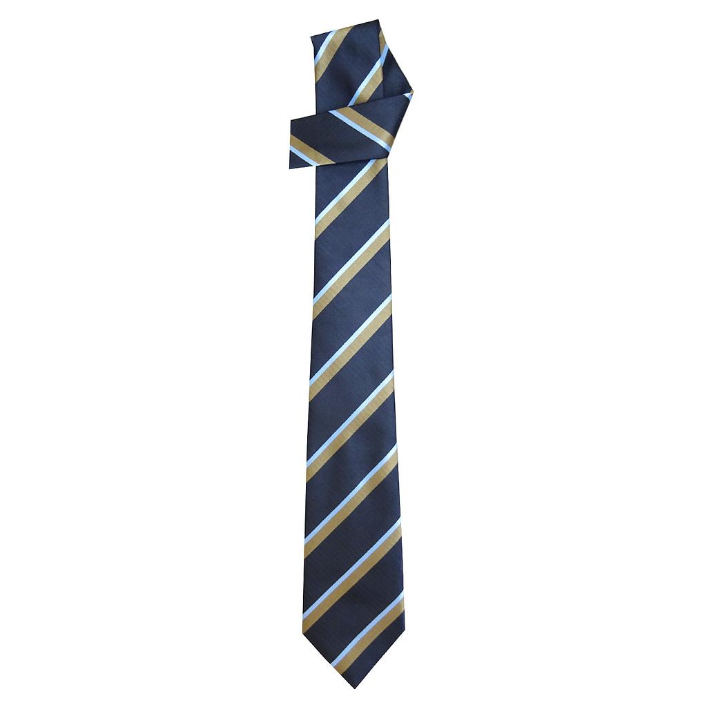 ACC Tie P-12