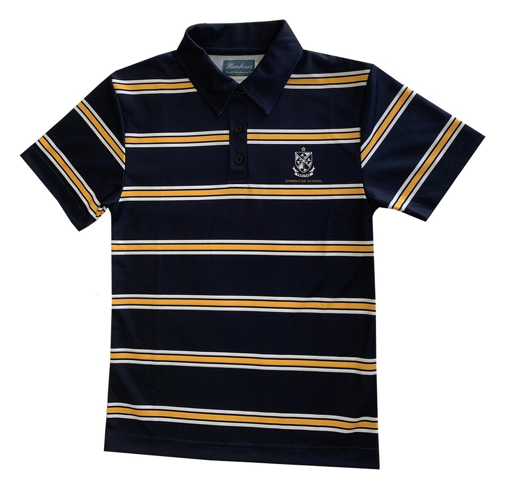 DSS Polo Sport Striped R-6 (O) (D)