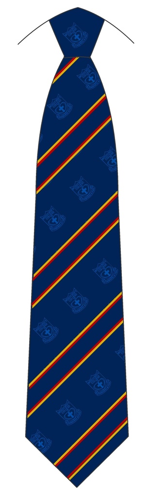 WCA Tie Senior