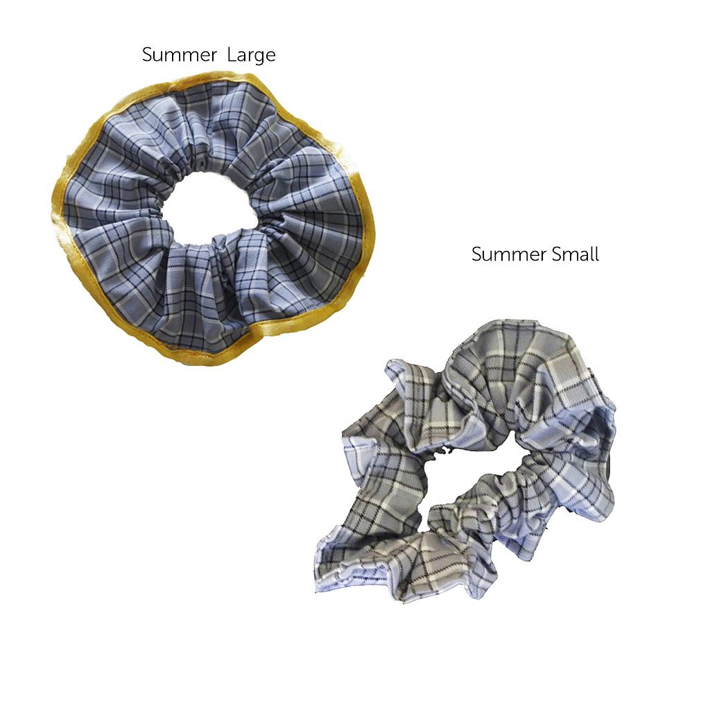 PPS Scrunchie Summer K-6