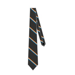 SAC Tie Stripe Charcoal 7-9